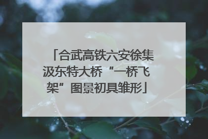 合武高铁六安徐集汲东特大桥“一桥飞架”图景初具雏形